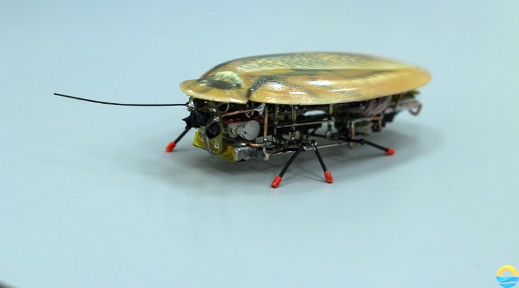Ένα νέο ρομπότ-κατσαρίδα που τρυπώνει παντού!
