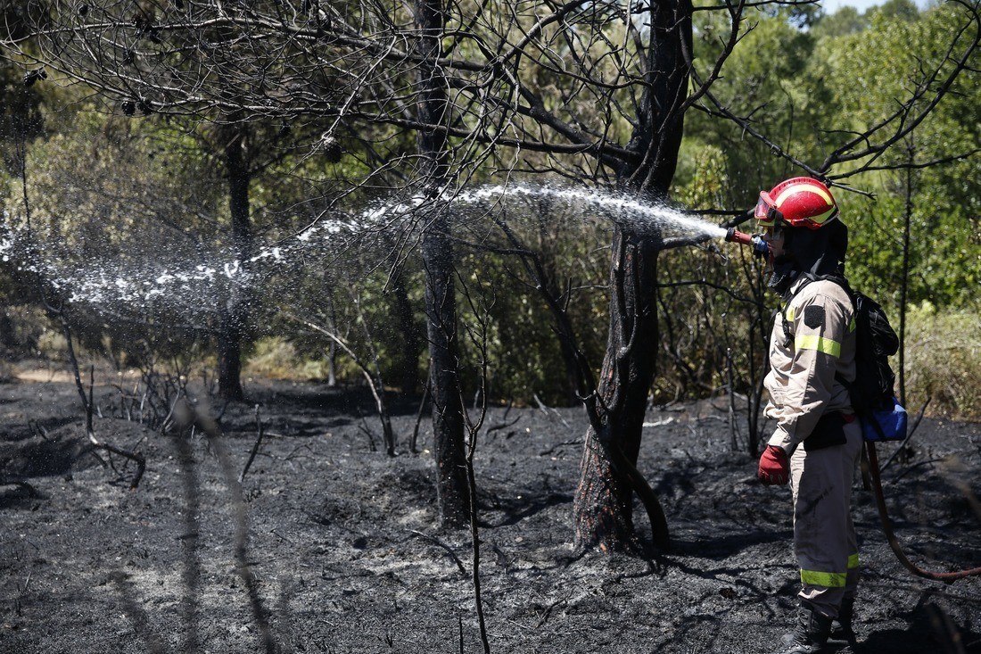 Ελεγχόμενη πλέον η φωτιά στο Κρυονέρι - Δεν κινδυνεύουν σπίτια