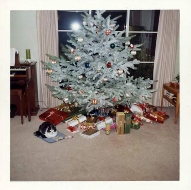 Vintage εικόνες από Χριστούγεννα περασμένων χρόνων: «Πληθωρικοί» και καλτ στολισμοί δέντρων