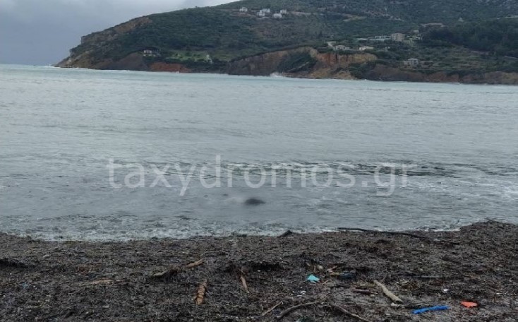 Θρίλερ στη Σκόπελο: Πτώμα ξεβράστηκε στο λιμάνι- Φορούσε ράσα (ΦΩΤΟ)