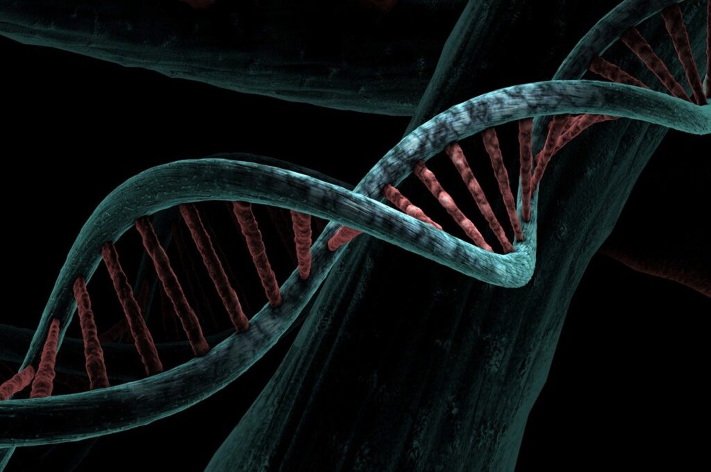 dna 6517209 1280